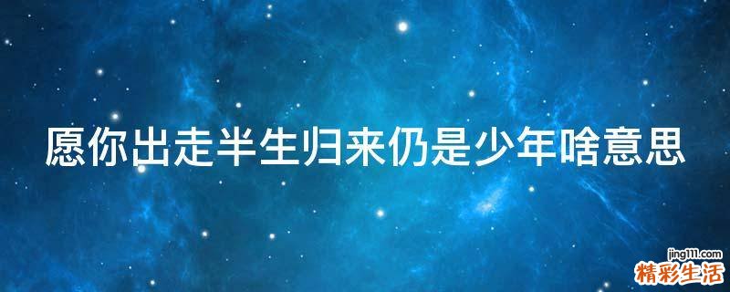 愿你出走半生归来仍是少年啥意思
