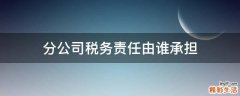 分公司税务责任由谁承担