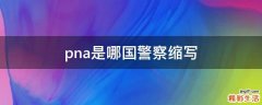 pna是哪国警察缩写