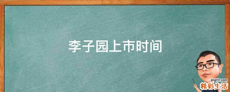 李子园上市时间