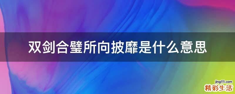 双剑合璧所向披靡是什么意思