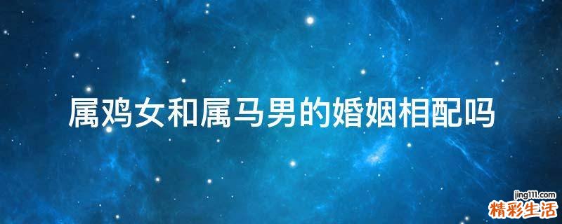属鸡女和属马男的婚姻相配吗