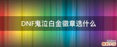 DNF鬼泣白金徽章选什么