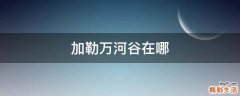 加勒万河谷在哪