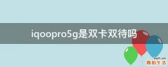 iqoopro5g是双卡双待吗