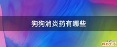 狗狗消炎药有哪些