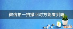 微信拍一拍撤回对方能看到吗