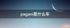 pagani是什么车