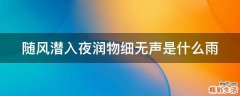 随风潜入夜润物细无声是什么雨