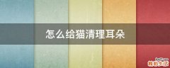 怎么给猫清理耳朵