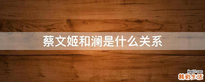 蔡文姬和澜是什么关系