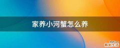 家养小河蟹怎么养