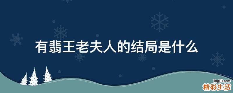 有翡王老夫人的结局是什么
