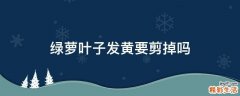 绿萝叶子发黄要剪掉吗