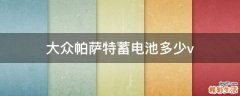 大众帕萨特蓄电池多少v