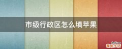 市级行政区怎么填苹果