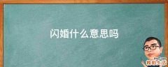 闪婚什么意思吗