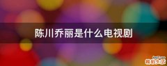 陈川乔丽是什么电视剧