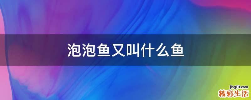 泡泡鱼又叫什么鱼