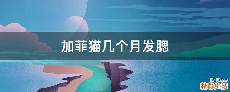 加菲猫几个月发腮