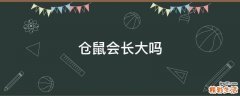 仓鼠会长大吗
