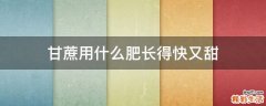 甘蔗用什么肥长得快又甜
