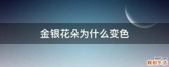 金银花朵为什么变色