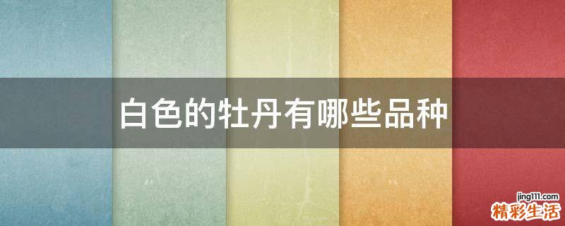 白色的牡丹有哪些品种