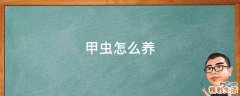 甲虫怎么养