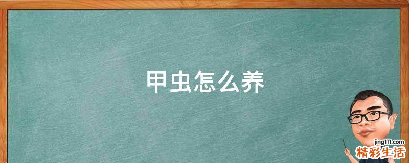 甲虫怎么养