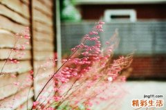 【冬季护肤小窍门】祛痘去痘印最有效的方法