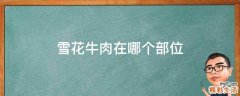 雪花牛肉在哪个部位
