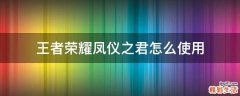 王者荣耀凤仪之君怎么使用