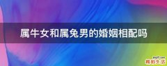 属牛女和属兔男的婚姻相配吗