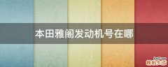 本田雅阁发动机号在哪