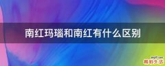 南红玛瑙和南红有什么区别