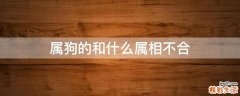 属狗的和什么属相不合