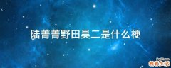 陆菁菁野田昊二是什么梗