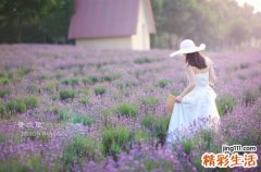 【祛痘小妙招】 4个方法解决讨厌“痘”