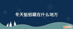 冬天蚯蚓藏在什么地方
