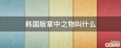 韩国版掌中之物叫什么