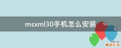msxml30手机怎么安装