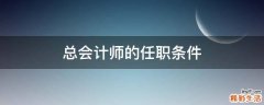 总会计师的任职条件