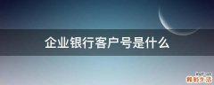 企业银行客户号是什么