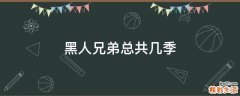 黑人兄弟总共几季