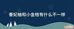 香妃柚和小金桔有什么不一样