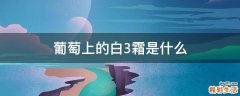 葡萄上的白3霜是什么