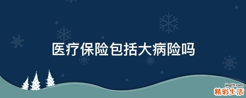 医疗保险包括大病险吗