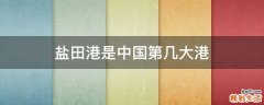 盐田港是中国第几大港