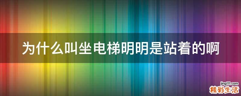 为什么叫坐电梯明明是站着的啊